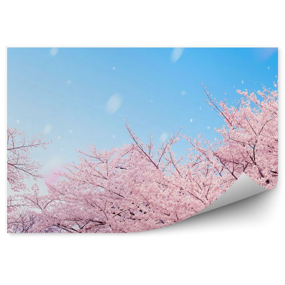 Fototapeta na stenu Ružové stromy obloha mraky obloha dážď