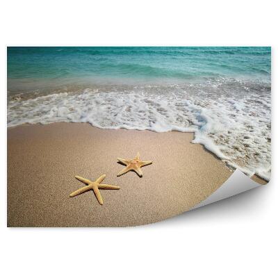 Fototapeta Dve hviezdice na pláži