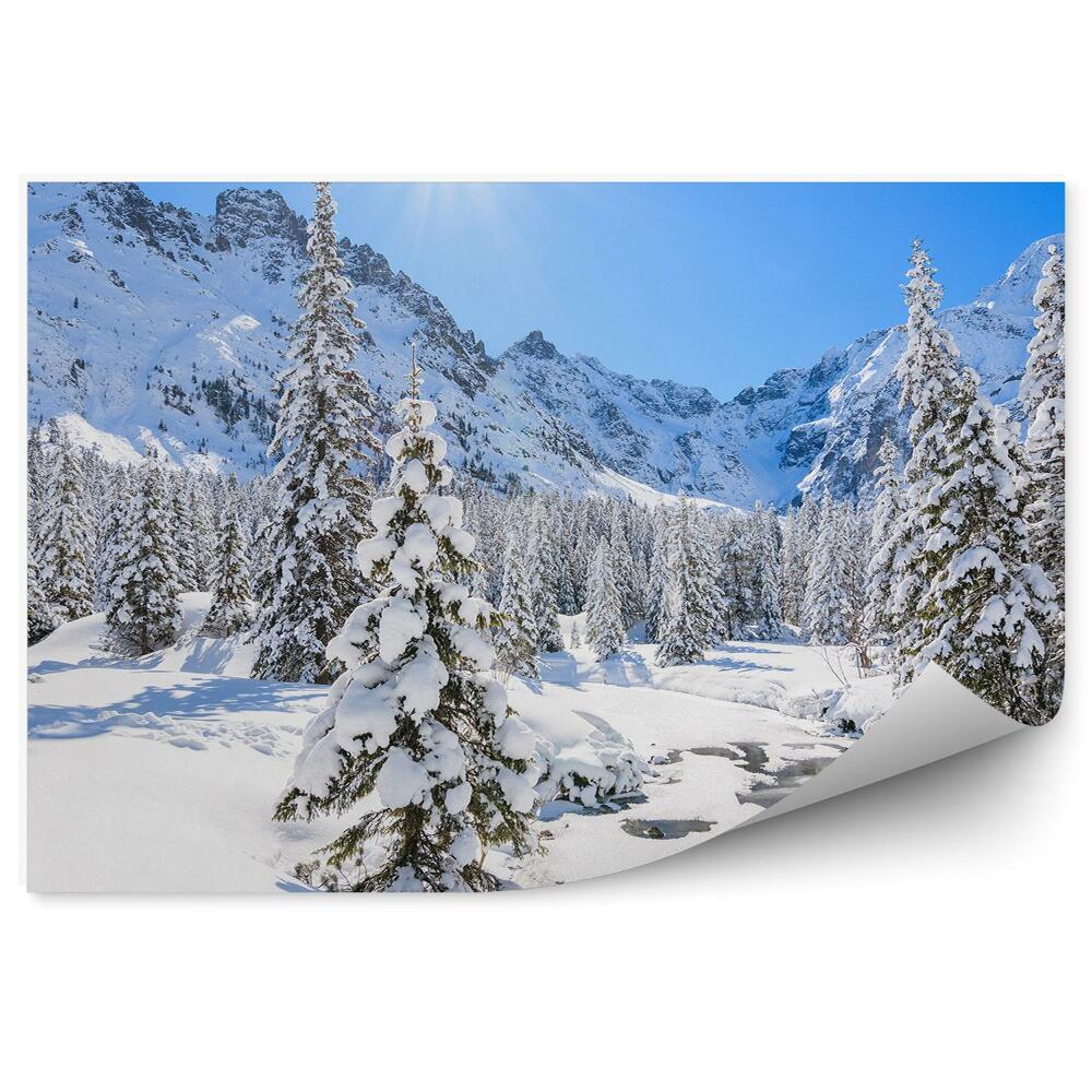 Fototapeta Zimná krajina les morské oko