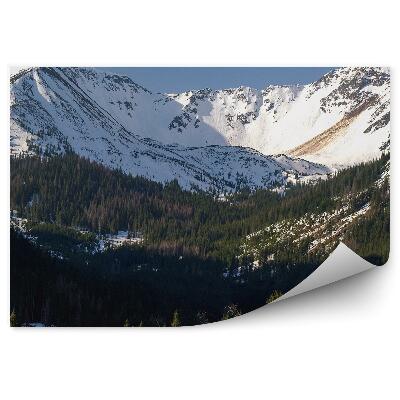 Fototapeta Tatry Zakopane Zelené Ihličnaté Stromy Krokusy Kvety Sneh