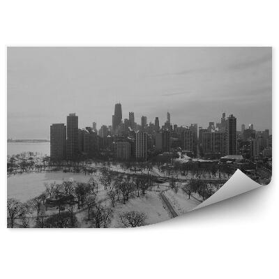 Fototapeta Sépia mrakodrapy autá stromy cesta zima sneh