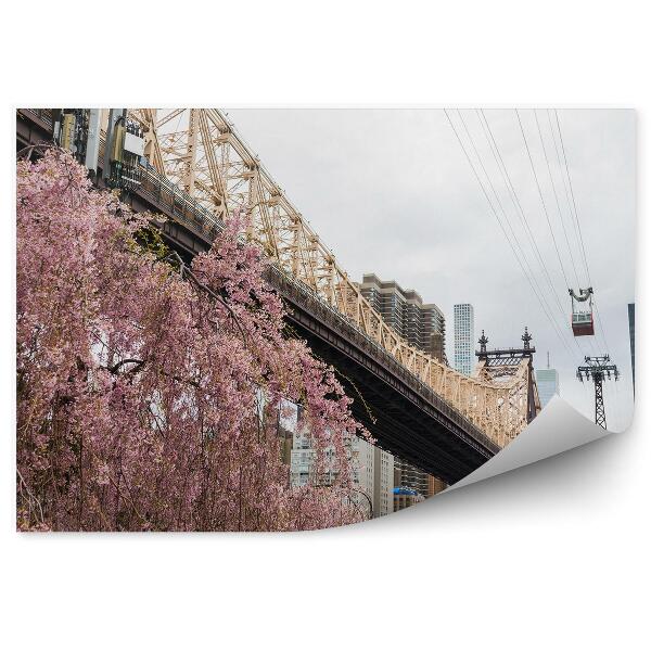 Fototapeta na stenu Čerešňový kvet brooklynský most mrakodrapy rieka