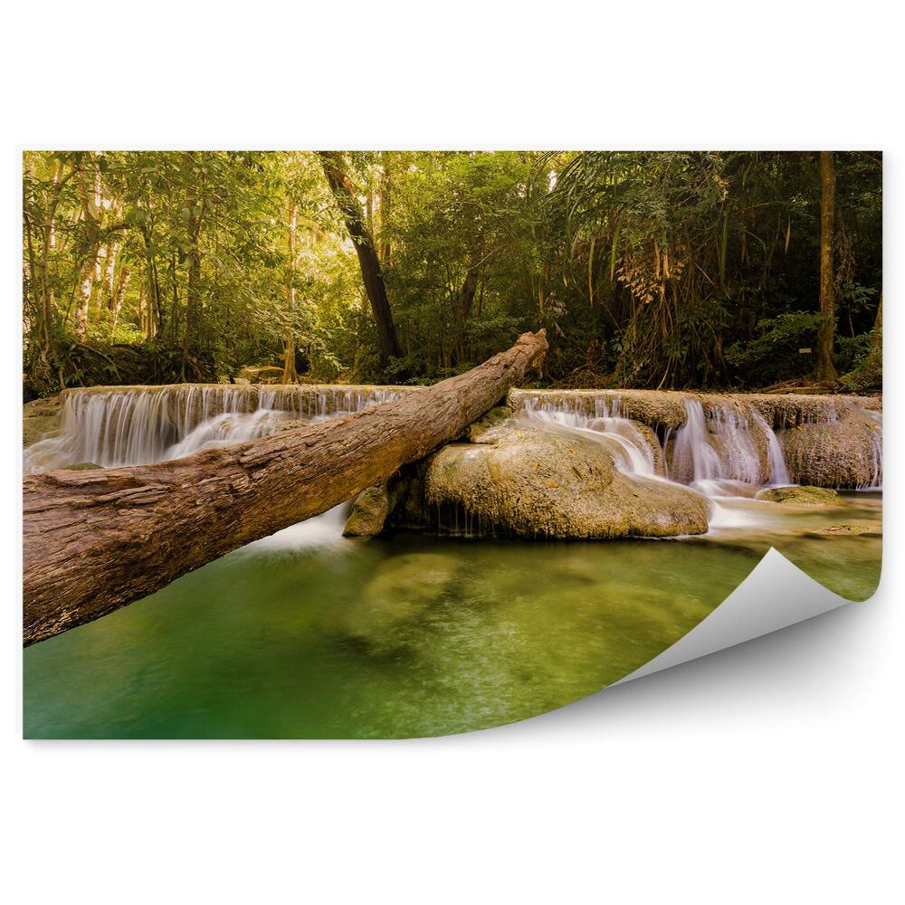 Fototapeta na stenu Tropický potok vodopád hlboký les