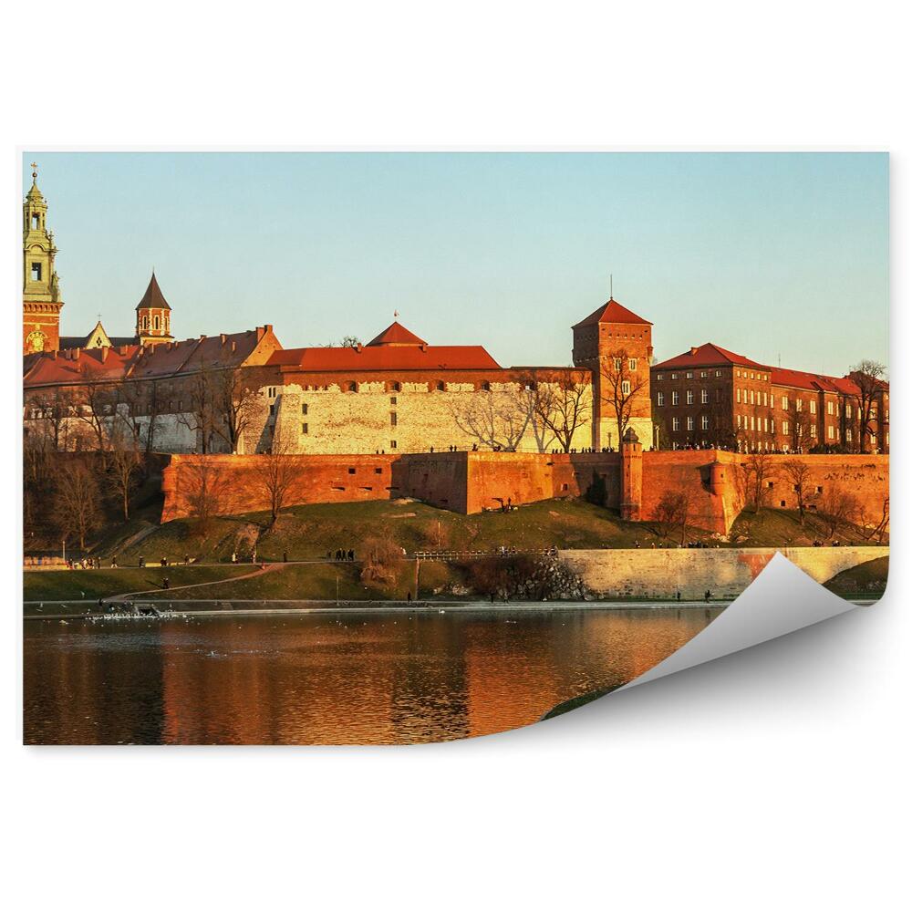 Fototapeta na stenu Pohľad z vtáčej perspektívy rieka Visla krakovské rastliny