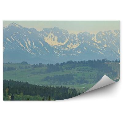 Fototapeta hory tatry ľudia ihličnaté stromy domy sneh