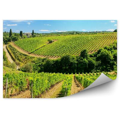 Fototapeta na stenu Vinice toskánsko obloha mraky