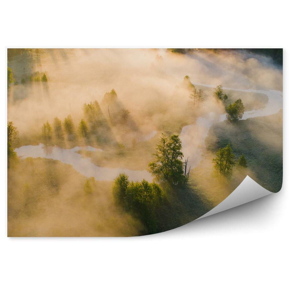 Fototapeta na stenu Hmlistá krajina riečny les