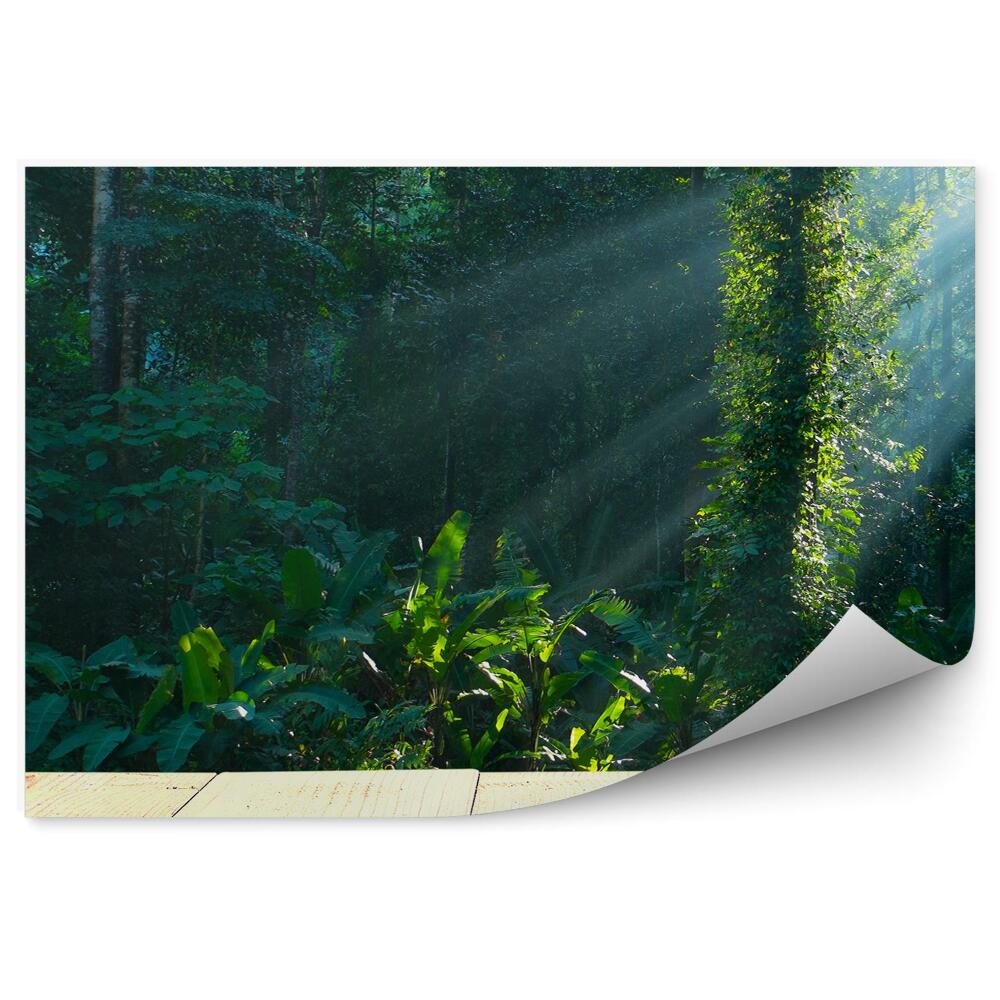 Fototapeta Drevená Terasa Tropický Les Kríky Slnko
