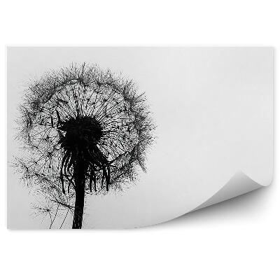 Fototapeta Púpava Rosička