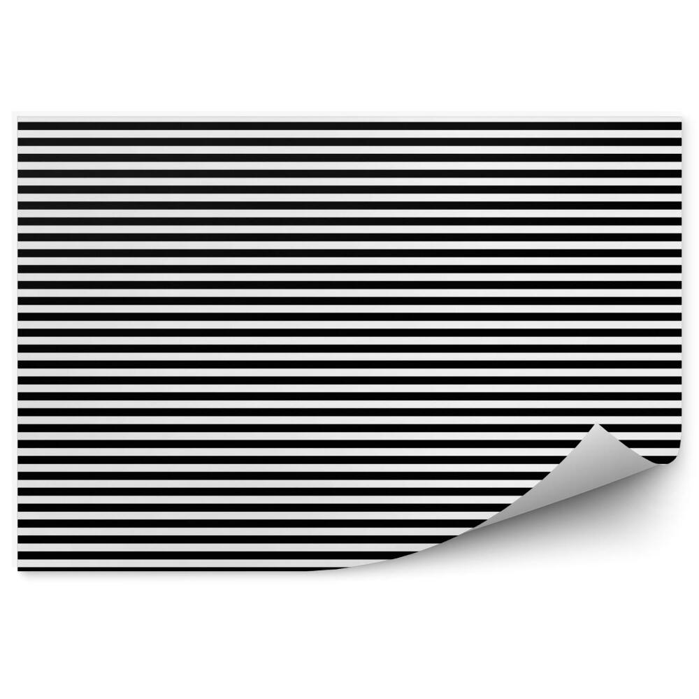 Fototapeta na stenu Čiernobiely pruhovaný horizontálny vzor