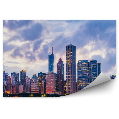 Fototapeta Mrakodrapy oceán svetlá stromy obloha mraky