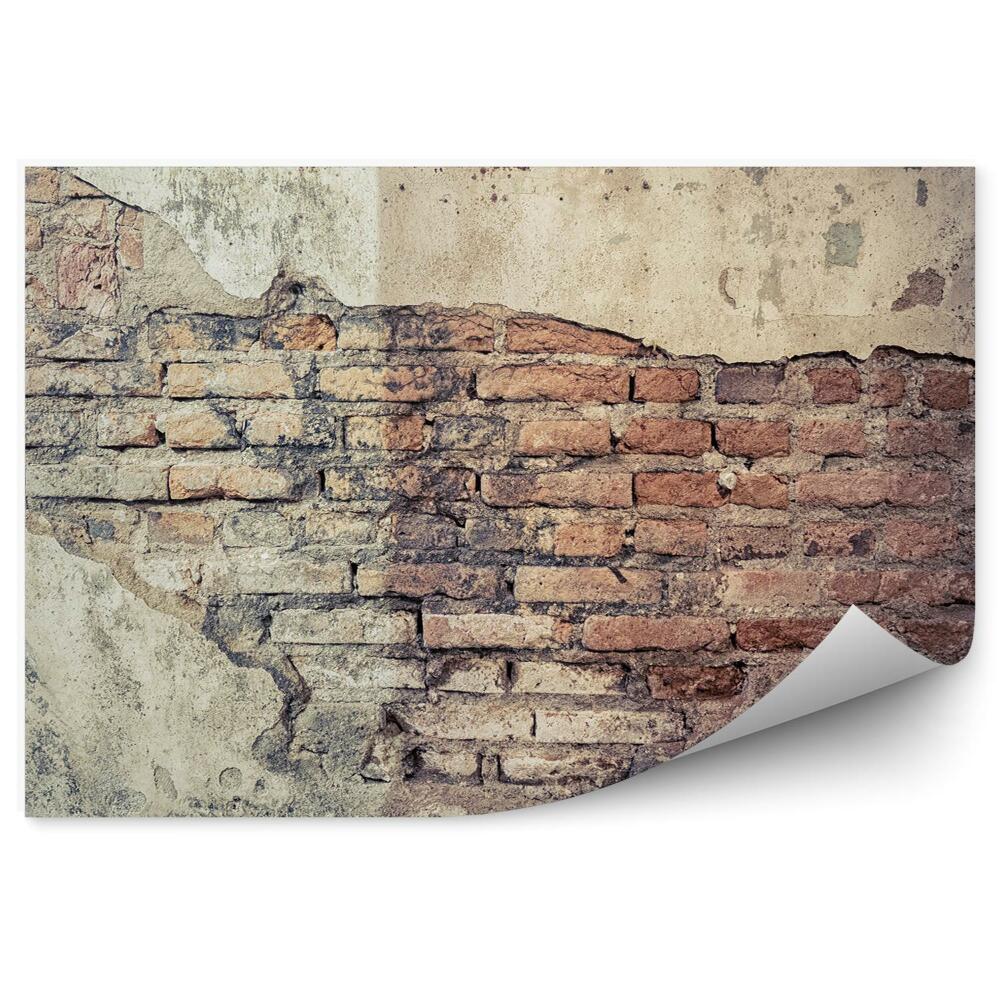 Fototapeta Prasklina v starej omietnutej stene