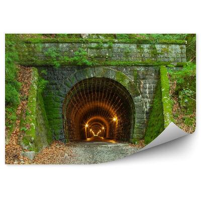 3d fototapeta Betónový zarastený tunel