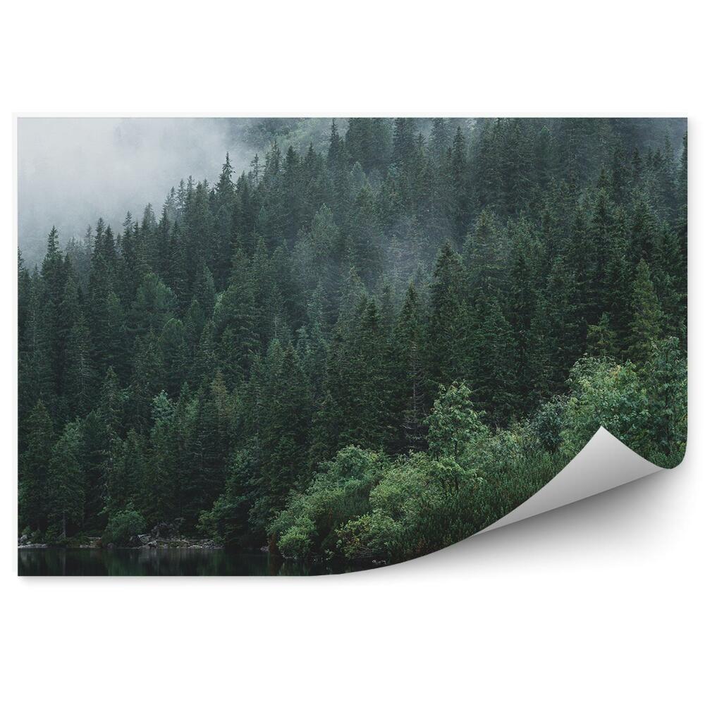 Fototapeta Jazero ihličnaté stromy človek kamene hmla