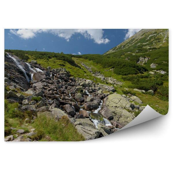 Fototapeta na stenu Vodopád Tatry leto Poľsko príroda