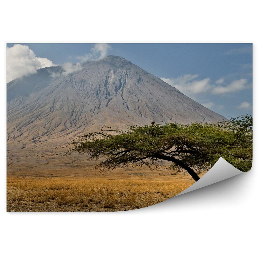 Fototapeta Tanzánia sopka stromy obloha mraky