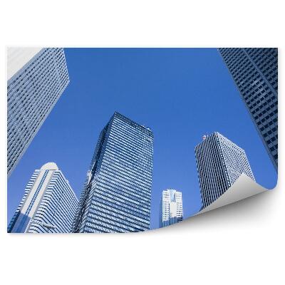 Fototapeta na stenu Mrakodrapy mrakodrapy mesto