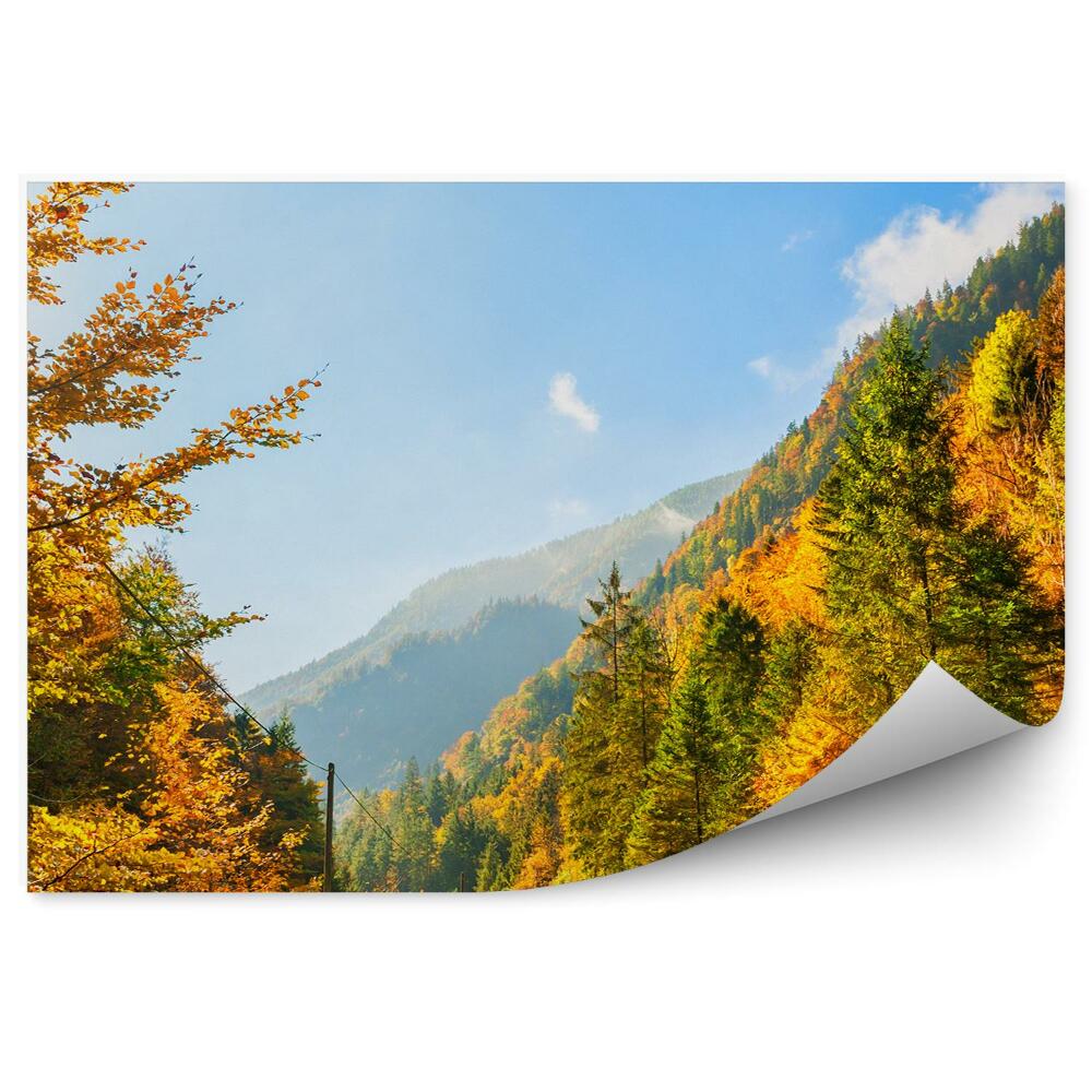 Fototapeta na stenu Jeseň hory alpy stromy rastliny cesta obloha mraky