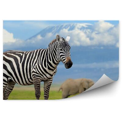 Fototapeta na stenu Zebra a slony na pozadí Kilimandžára
