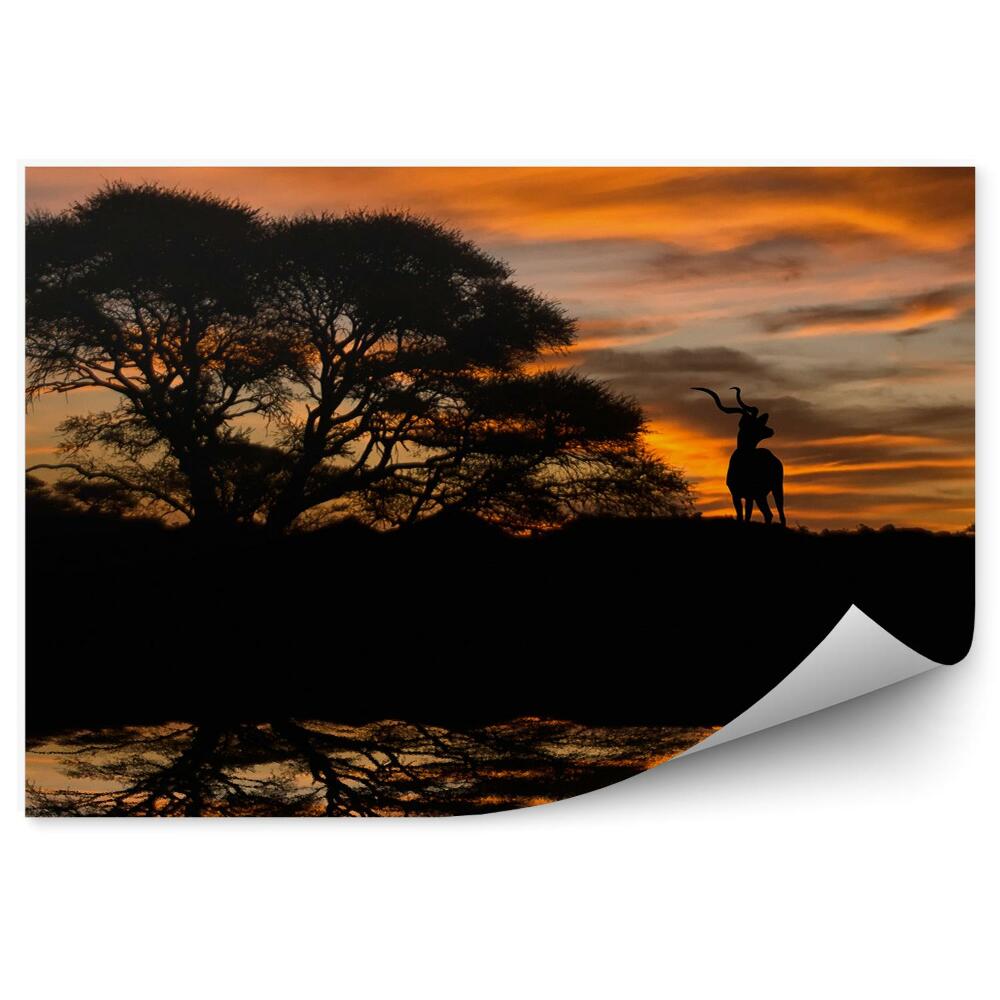 Fototapeta Antilopa Stromy Rastliny Jazero Západ Slnka