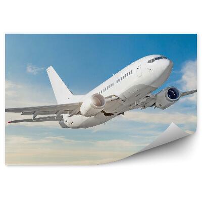 Fototapeta na stenu Osobné Lietadlo Oblak Obloha