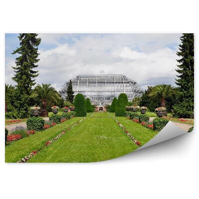 Fototapeta na stenu Záhrada kríky tráva kvety zeleň