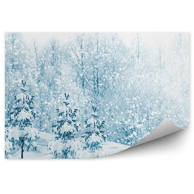 Fototapeta na stenu Zimný les