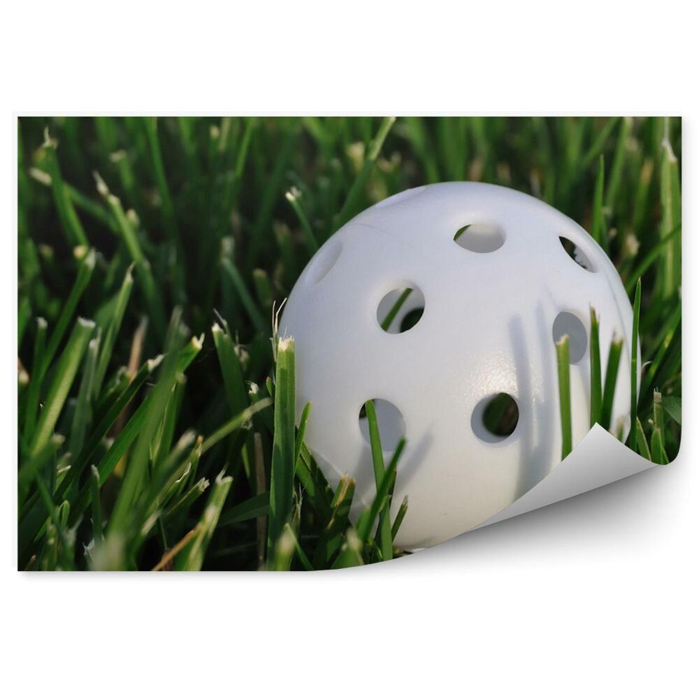 Fototapeta Trava za žogico za golf
