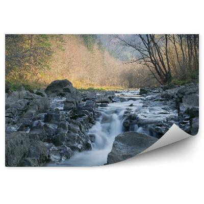 Fototapeta Prírodná rezervácia sine drôtený vodopád stromy príroda skaly bieszczady