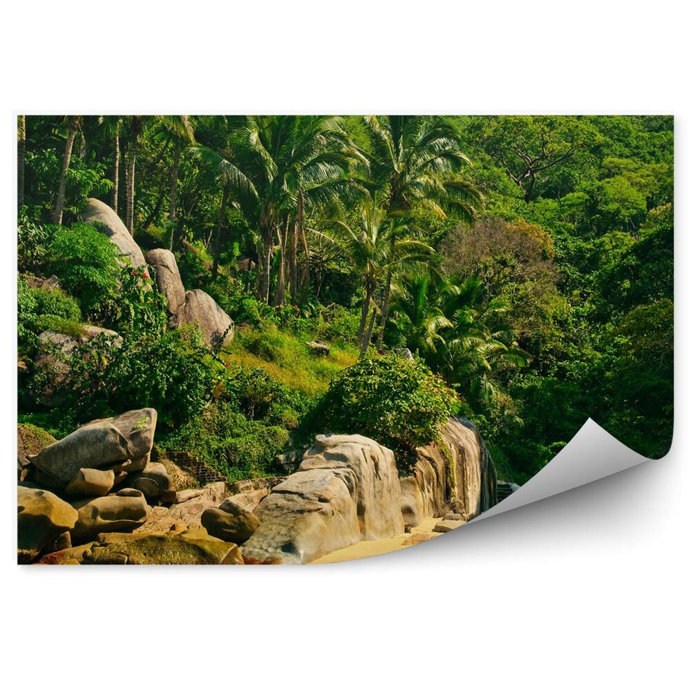 Fototapeta na stenu Mexiko Pláž Palmy Skaly Príroda Vegetácia