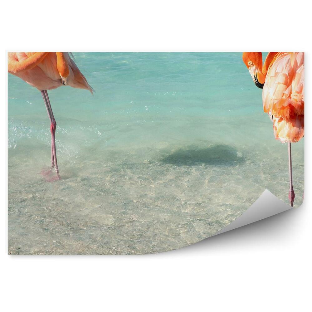 Fototapeta na stenu Plameniaky karibské more pláž