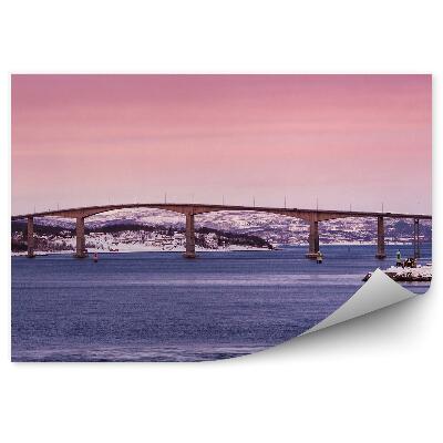 Fototapeta na stenu Krajina Most Zima Sneh Domy