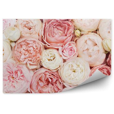 Fototapeta na stenu Ružové Béžové Kvety Pozadie