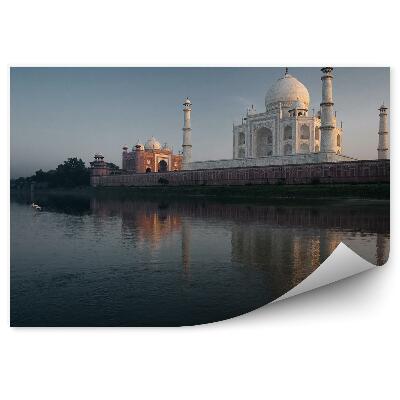Fototapeta Taj mahal architektúra voda vtáky