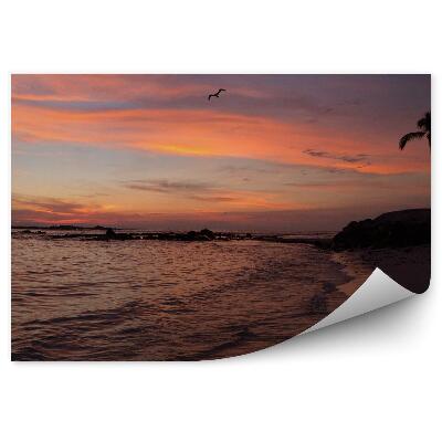 Fototapeta na stenu Západ Slnka Pláž Palmy Oceán Vtáky Tropy