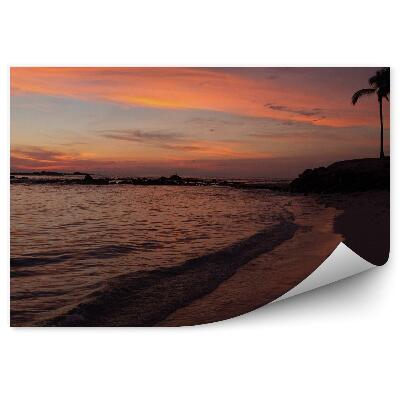 Fototapeta Oceánska Pláž Palmy Západ Slnka