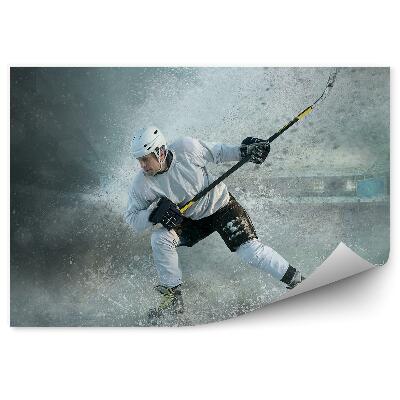Fototapeta Dinamična hokejska akcija