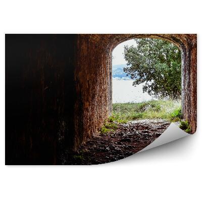 Fototapeta na stenu Tunel skaly stromy voda