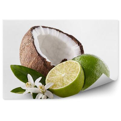 Fototapeta Kokosové listy limetky kvety biele pozadie