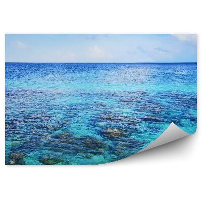 Fototapeta Pohľad zhora na horizont morského útesu