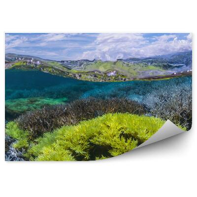 Fototapeta Fluorescenčná voda koralového útesu