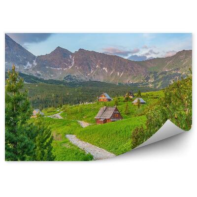 Fototapeta Hory Zakopané obloha mraky domy ihličnatý chodník