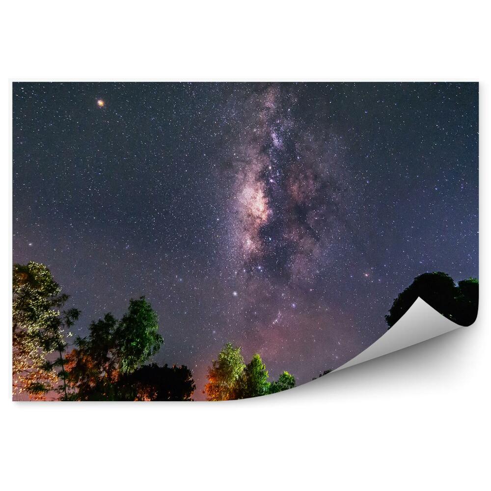 Fototapeta Mliečna Cesta Hviezdy Vesmír Prach Stromy Farebné Svetlá Noc