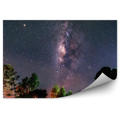 Fototapeta Mliečna Cesta Hviezdy Vesmír Prach Stromy Farebné Svetlá Noc