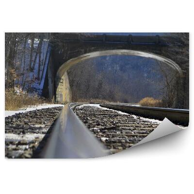 Fototapeta Železničné Trate Most Príroda Les Železnica