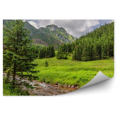 Fototapeta na stenu Potok zelené údolia Tatry