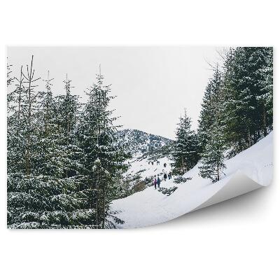 Fototapeta Hustý ihličnatý les zakopaný