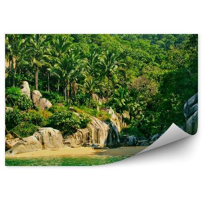 Fototapeta Mexiko Pláž Príroda Palmy Skaly Drevené Schody