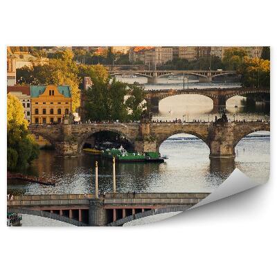 Fototapeta na stenu Praga vltava mostovi arhitektura stavbe