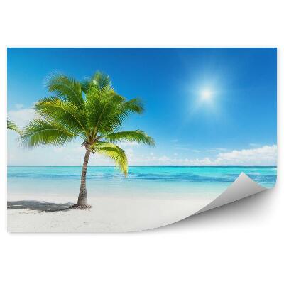 Fototapeta na stenu Palma a more